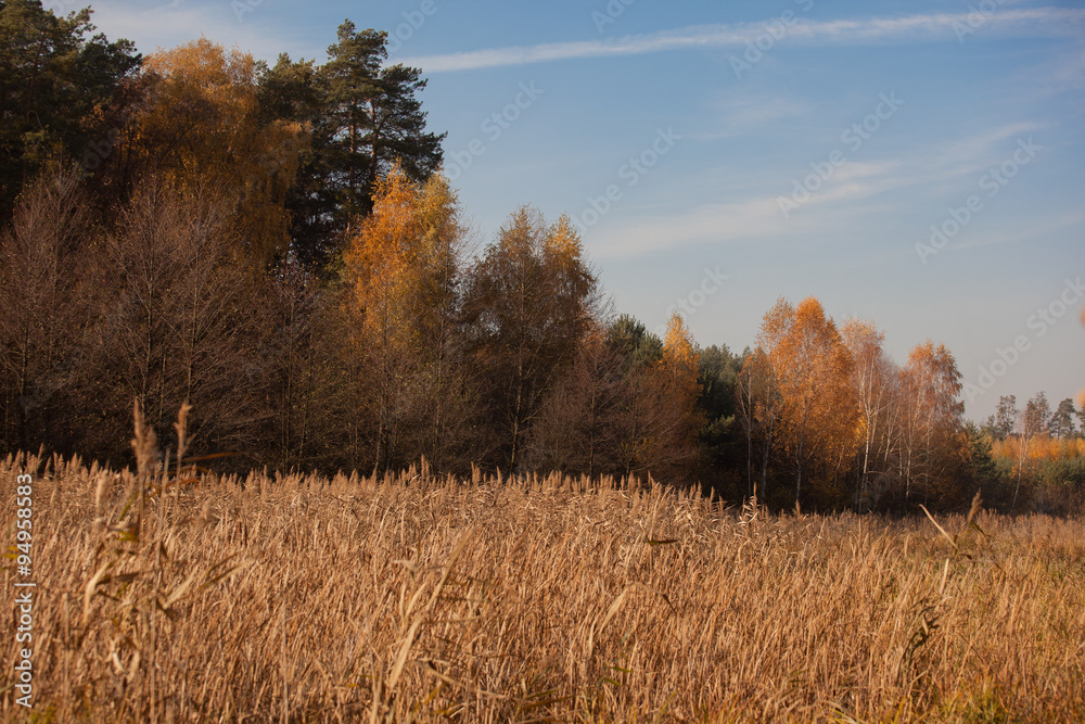 autumn scene, colors of autumn
