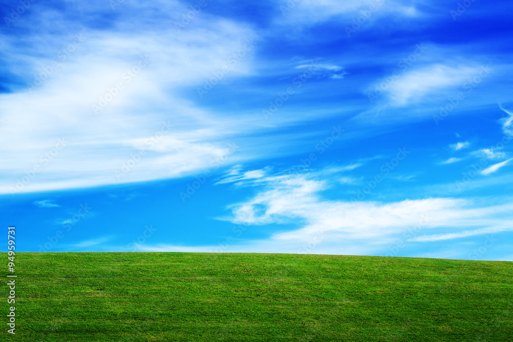 Horizon over Green Field and Beautiful Blue Sky with Clouds
