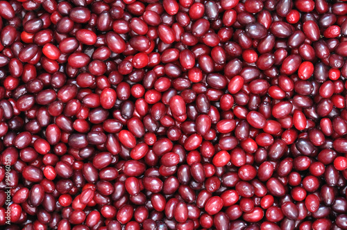 ripe red cornelian cherries