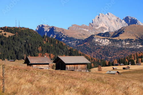 Autunno all'Alpe di Siusi, Alto Adige tra larici, prati d'alta quota, malghe e Torggelen © juliuspayer