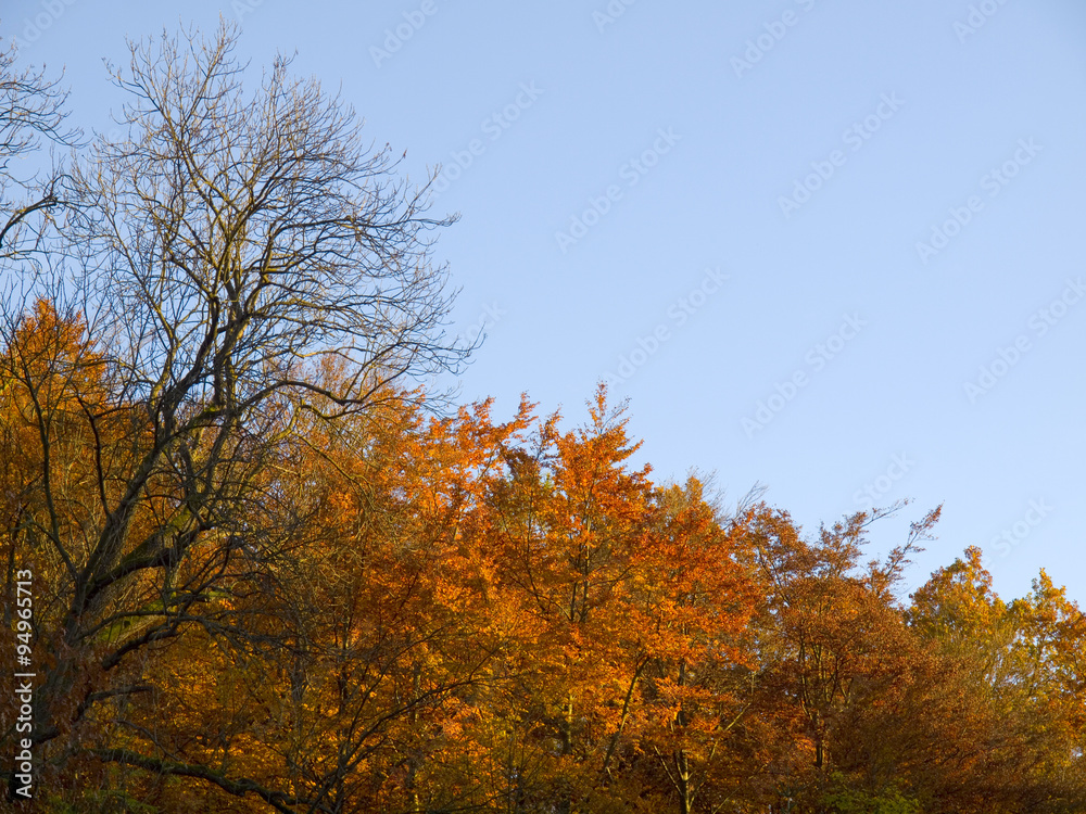 Herbst Herbst