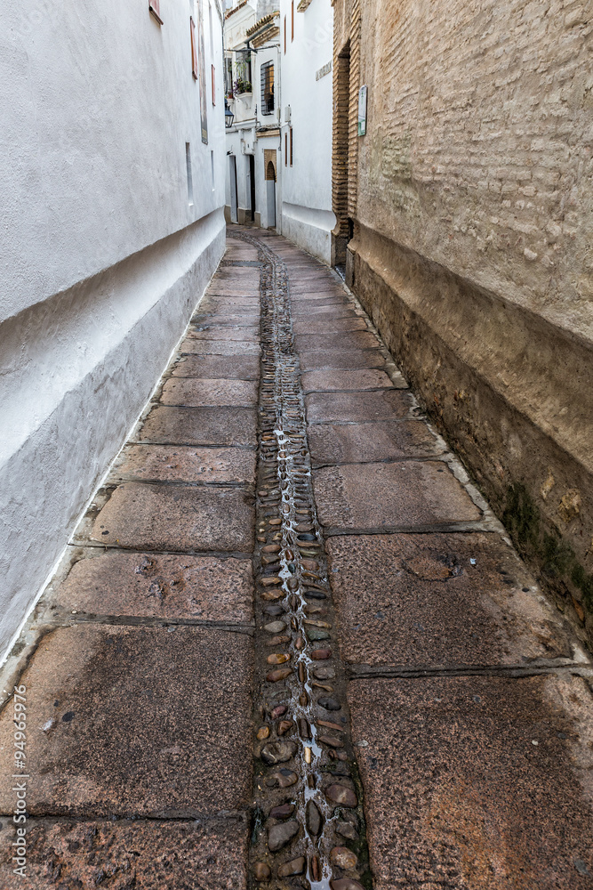 Typical narrow street in the old town of Cordoba. Spain.