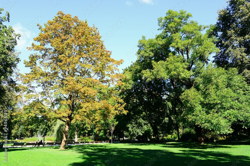Trees and flowers in Vilnius town Bernardinu garden