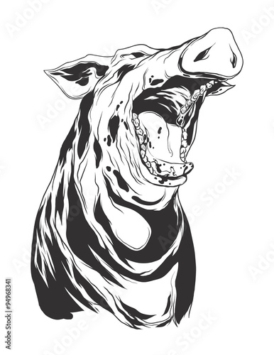 Vector illustration with hog head