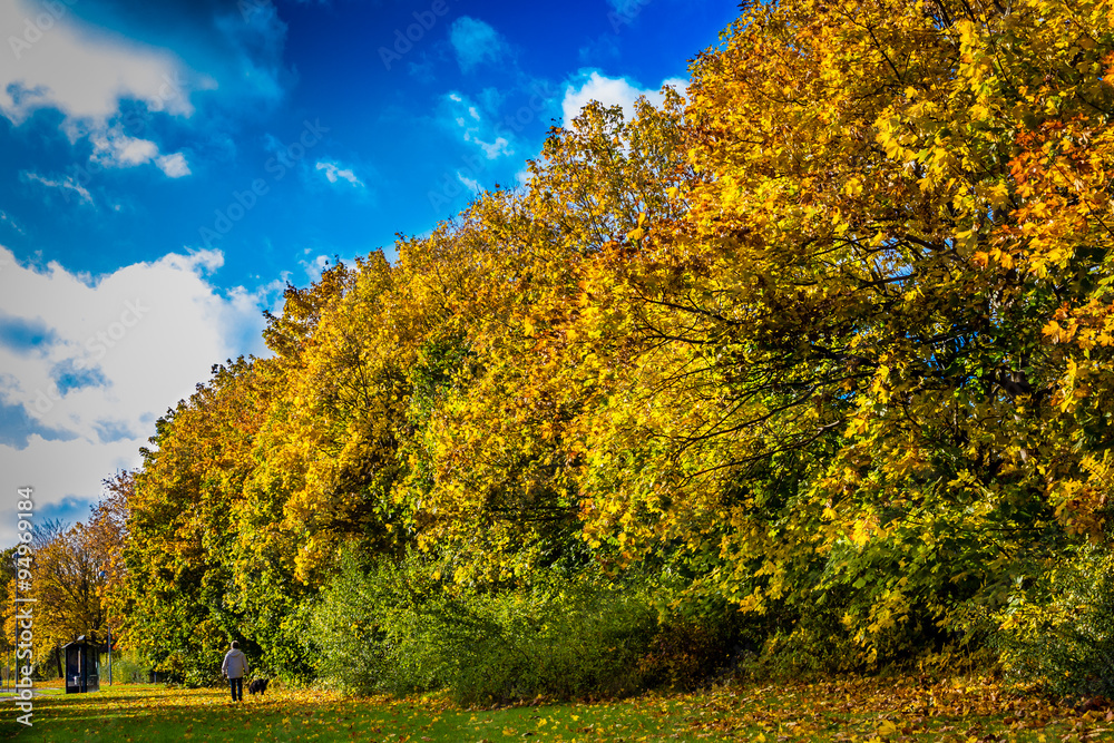 Autumn in colors