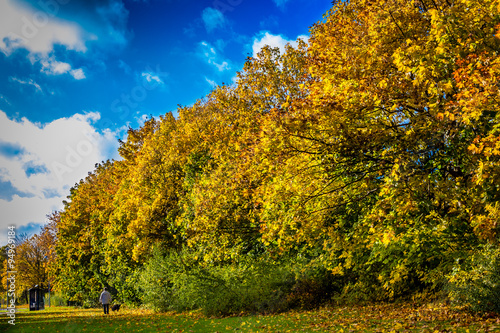 Fototapeta Naklejka Na Ścianę i Meble -  Autumn in colors