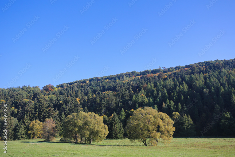 Fototapeta premium Vulkaneifel in Rhineland-Palatinate, Germany
