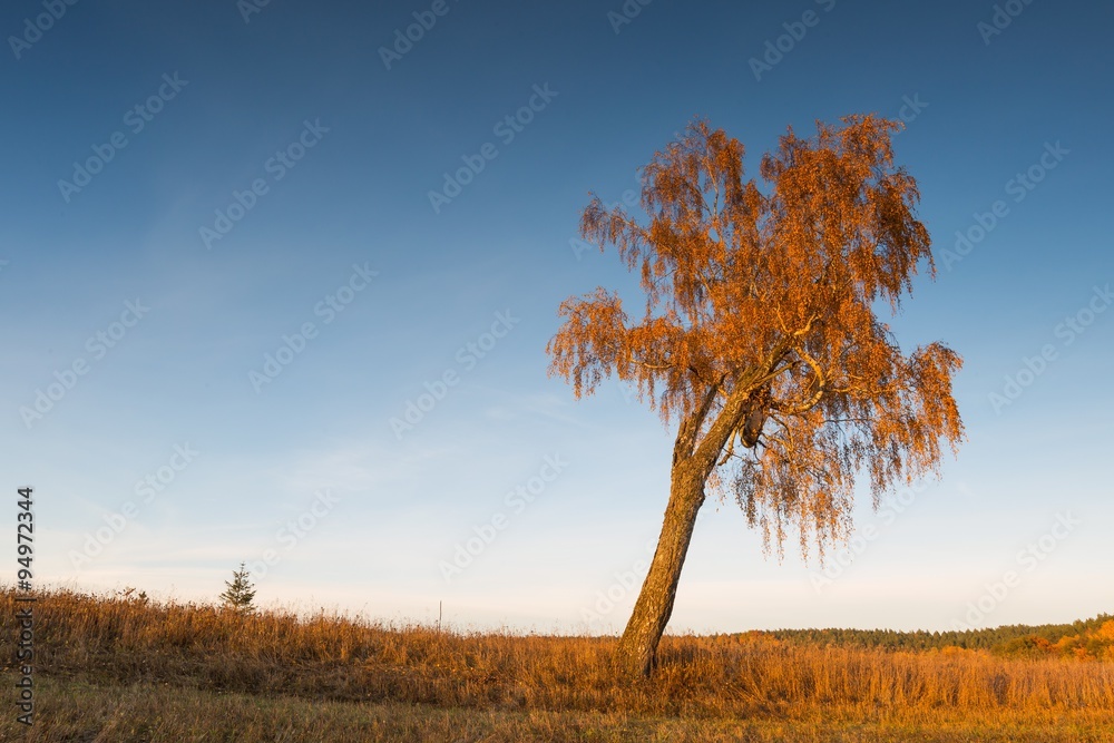 Beautiful autumnal sunset landscape Beautiful autumnal sunset landscape