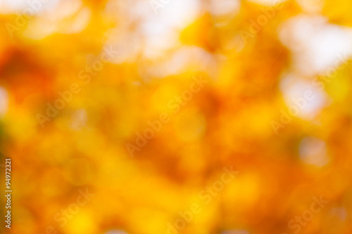 abstract autumn background blur,