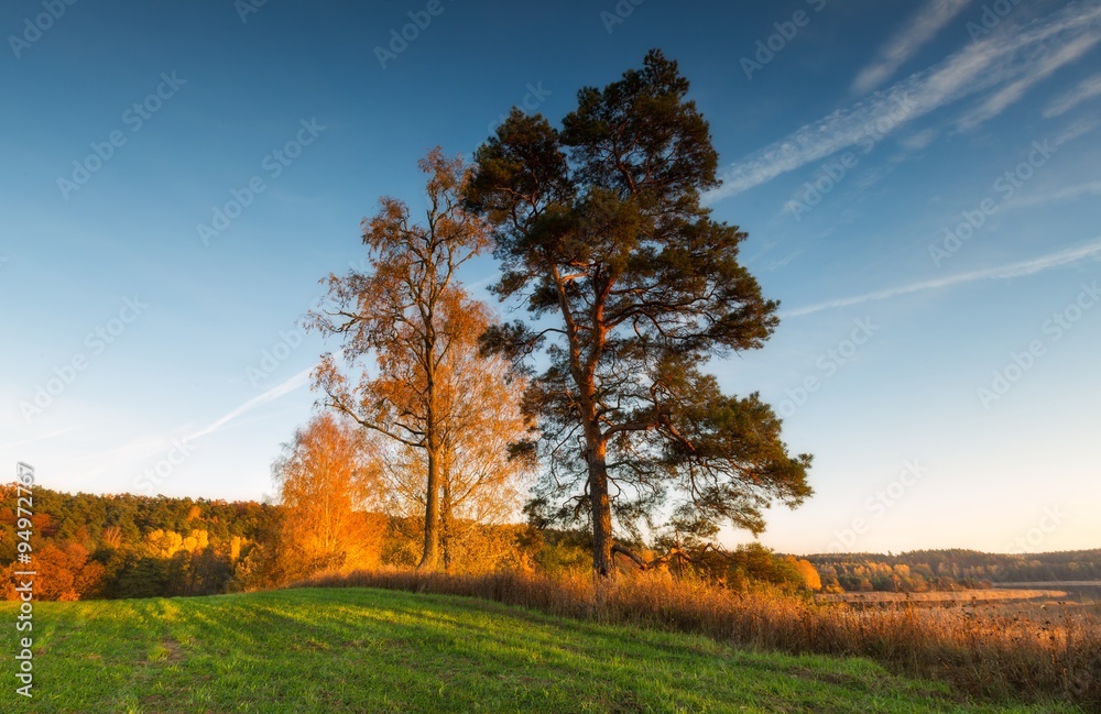 Beautiful autumnal sunset landscape