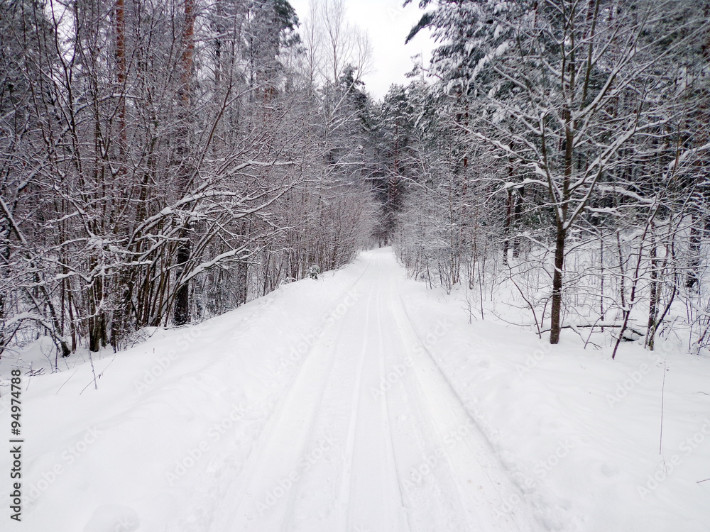 Obraz premium Winter road