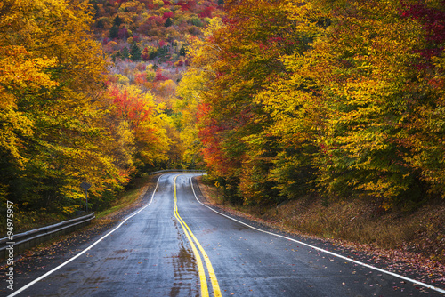 Brilliant fall floiage colors along New HAmpshire highway.
