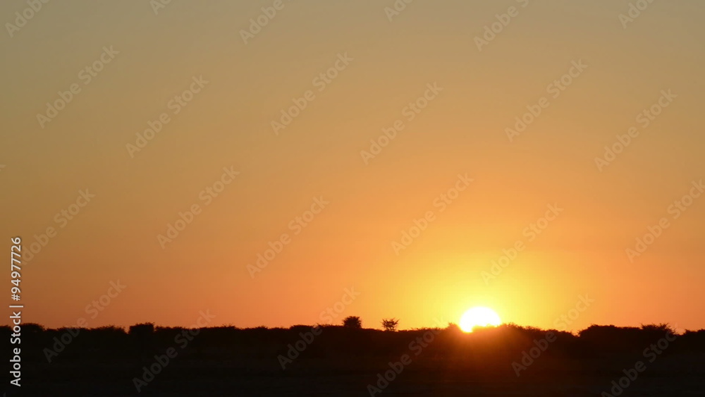 Classic African sunset over the silhouetted trees in Botswana in high definition footage