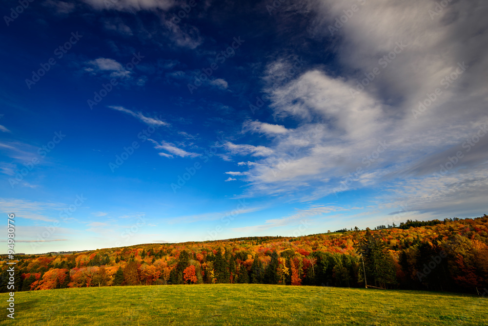 Obraz premium Fall colours in Canada against a deep blue sky