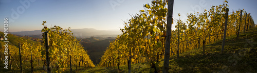Fototapeta Naklejka Na Ścianę i Meble -  Herbst im südsteirischen Weinland, Steiermark,Österreich