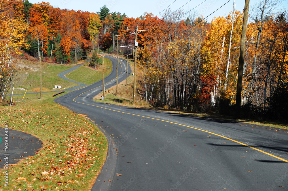 winding road in autumn woods