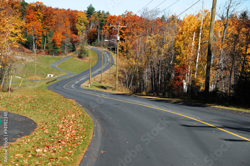 winding road in autumn woods