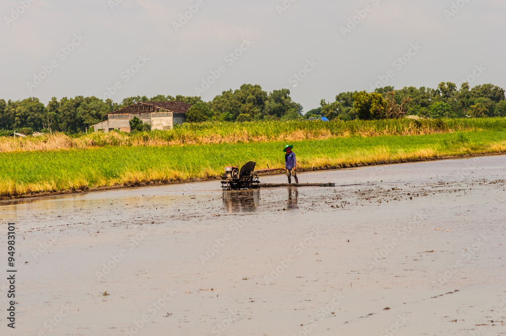 Thai farmers working with a handheld motor plow in a rice field. Thai farmers working with a handheld motor plow in a rice field.