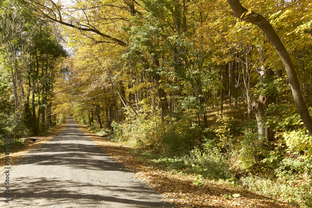 Obraz premium Autumn Foliage in Vermont, USA