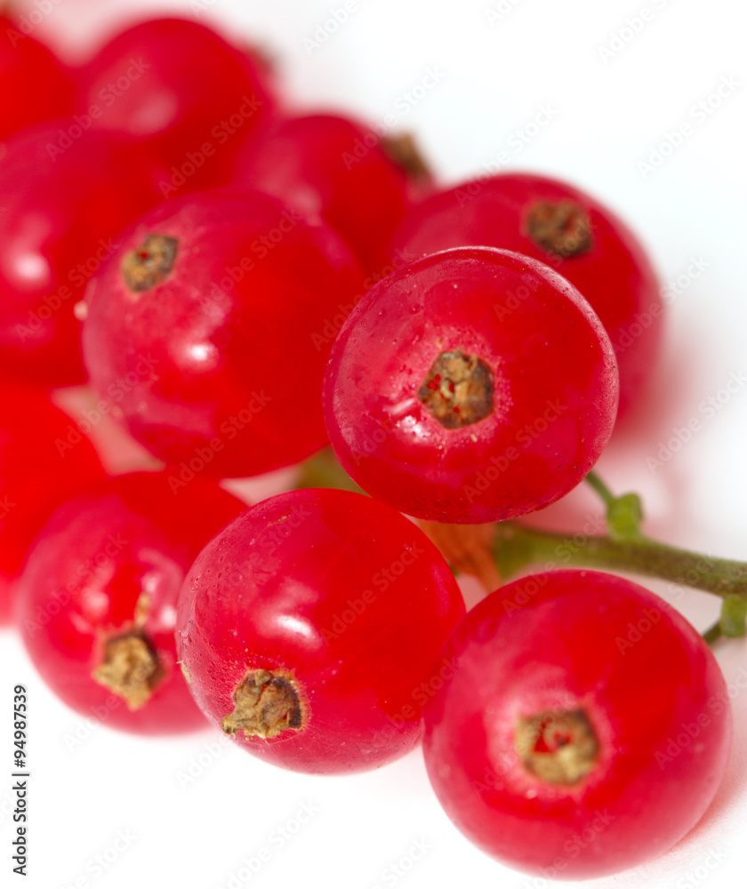 Ripe red currant on a white background Ripe red currant on a white background