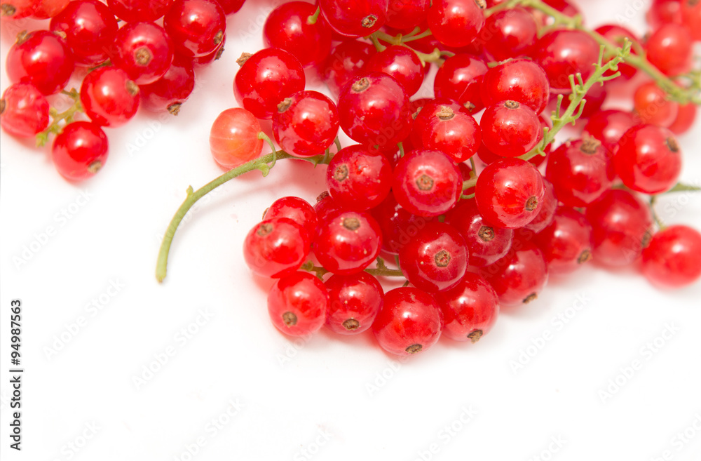 Ripe red currant on a white background Ripe red currant on a white background