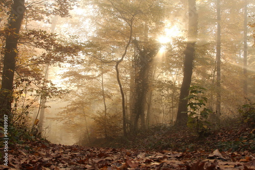 Herbststimmung