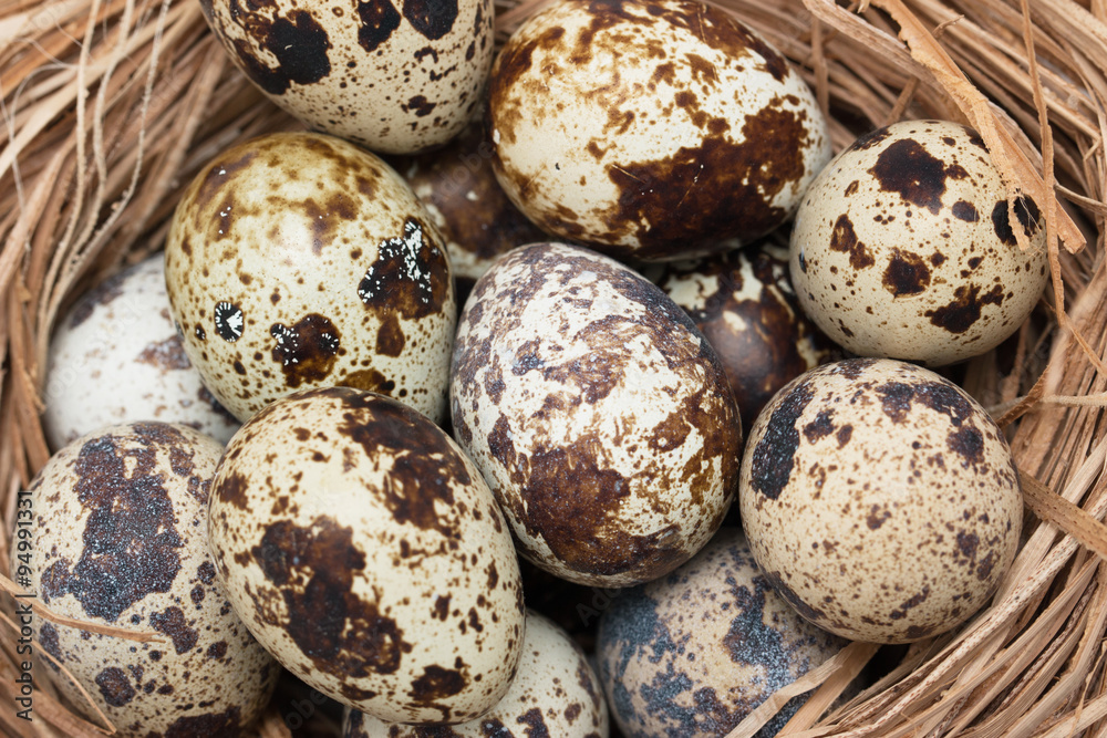 quail eggs on a wooden background