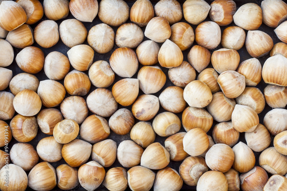 Nuts, hazelnuts as background. Healthy eating vegetarian nut food brown hazelnut. Nuts, hazelnuts as background. Healthy eating vegetarian nut food brown hazelnut.