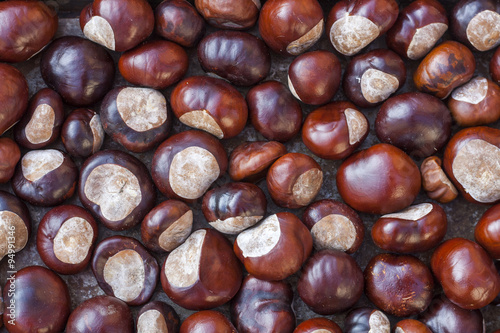 Rich brown autumn conkers from a horse chestnut tree as an abstract background texture