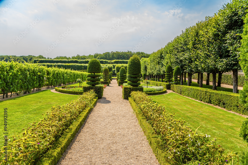 Alley with clipped trees and shrubs in the gardens of the Villandry  castle, France