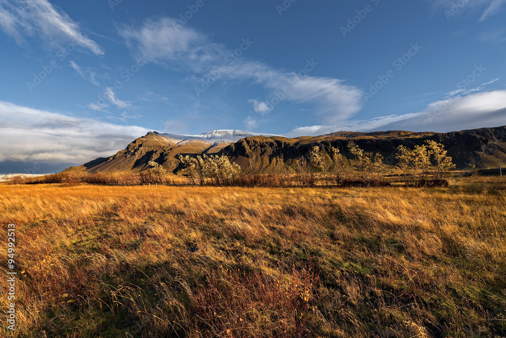 Iceland, Beautiful arctic landscape, wild field with bright yellow grass and moss and distant black hills against the background of  blue sky, nature