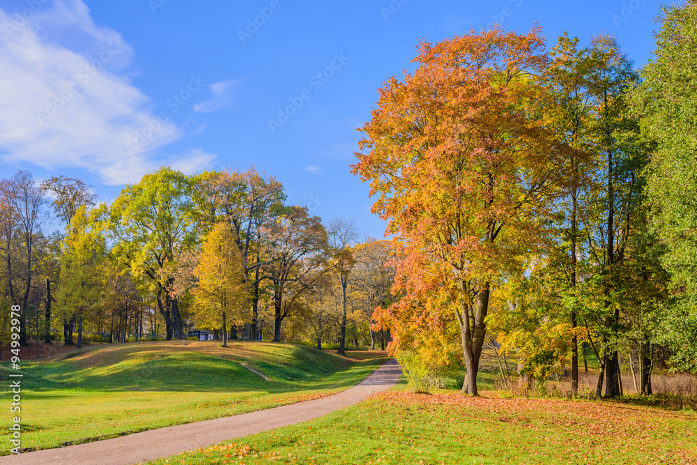 Beautiful Park in the autumn, Petergof, Saint-Petersburg, Russia.