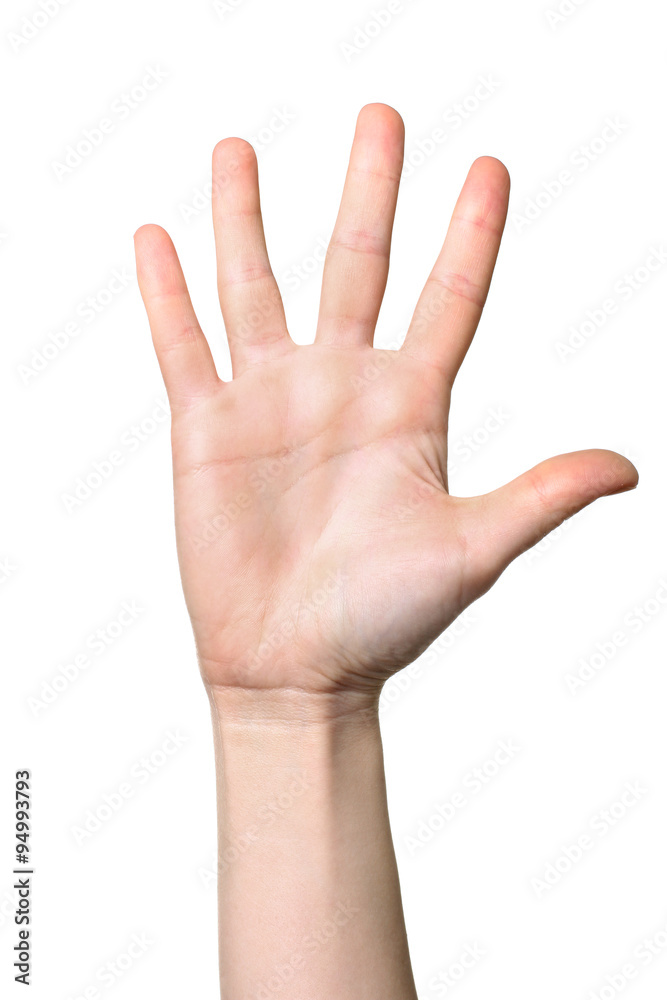 Female hand extended in greeting isolated on white. Female hand extended in greeting isolated on white.