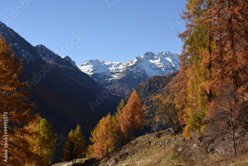 paesaggio di montagna autunnale 