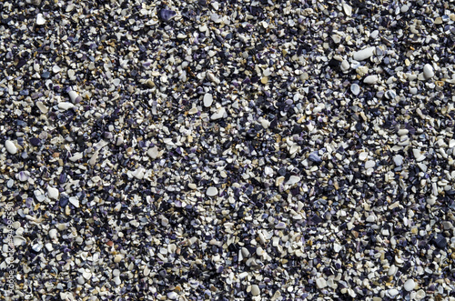 Mussel Beach, many crushed seashells