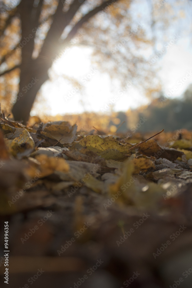 Herbst Herbst