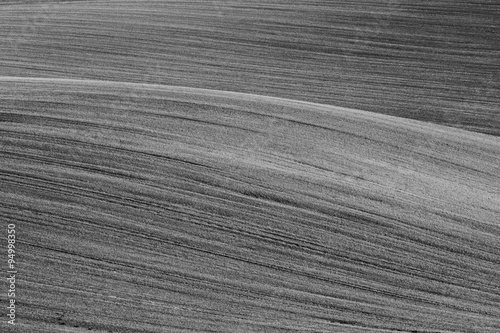 Abstract field. Black and white