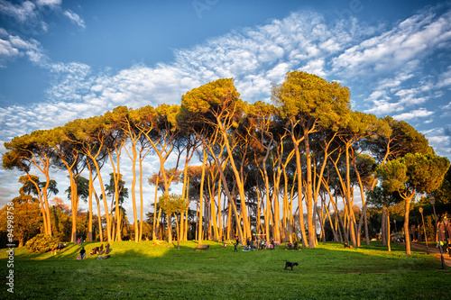 Rome, Italy -  November 2012 -  People in Villa Doria Pamphili Park  before the sunset photo