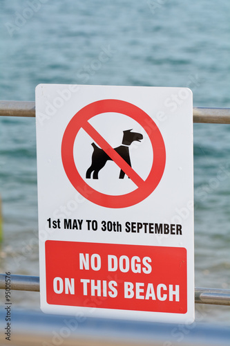 No Dogs On This Beach sign