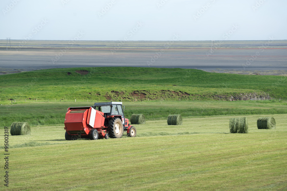 Hay field Hay field