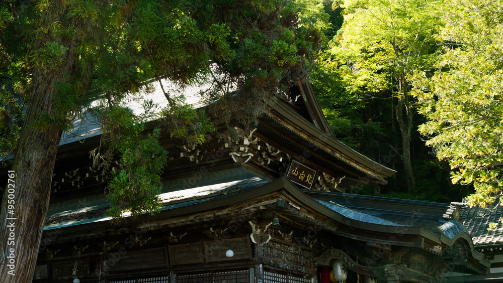 Temple of Japan in the woods
