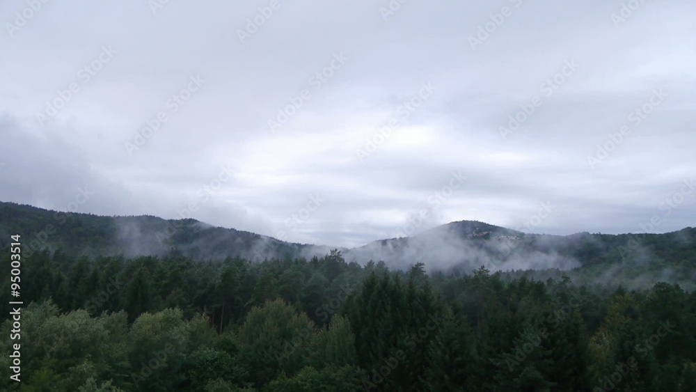 AERIAL: Misty forest AERIAL: Misty forest