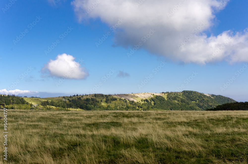 Japan's highland pasture, clear cloud,blue sky
Japan's highland pasture, clear cloud,blue sky