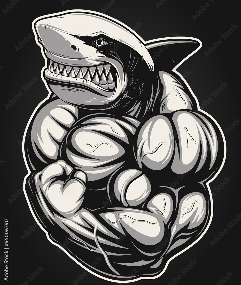 Fotografie Vector illustration, toothy  shark shows big biceps