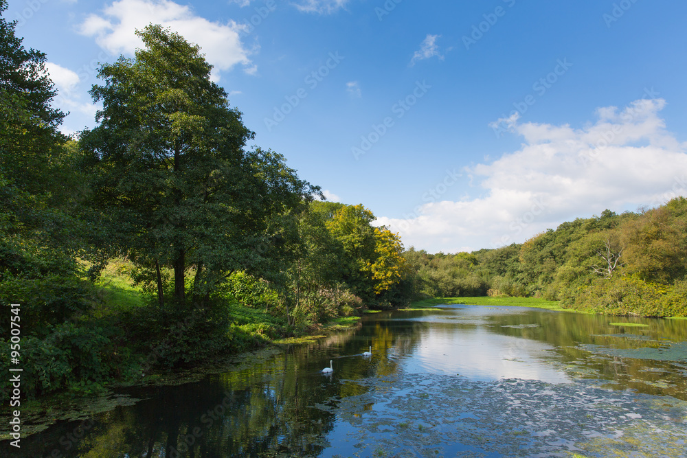 Otterhead Lakes East Devon England uk in the Blackdown Hills 