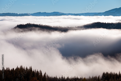 The sea of fog with forests as foreground