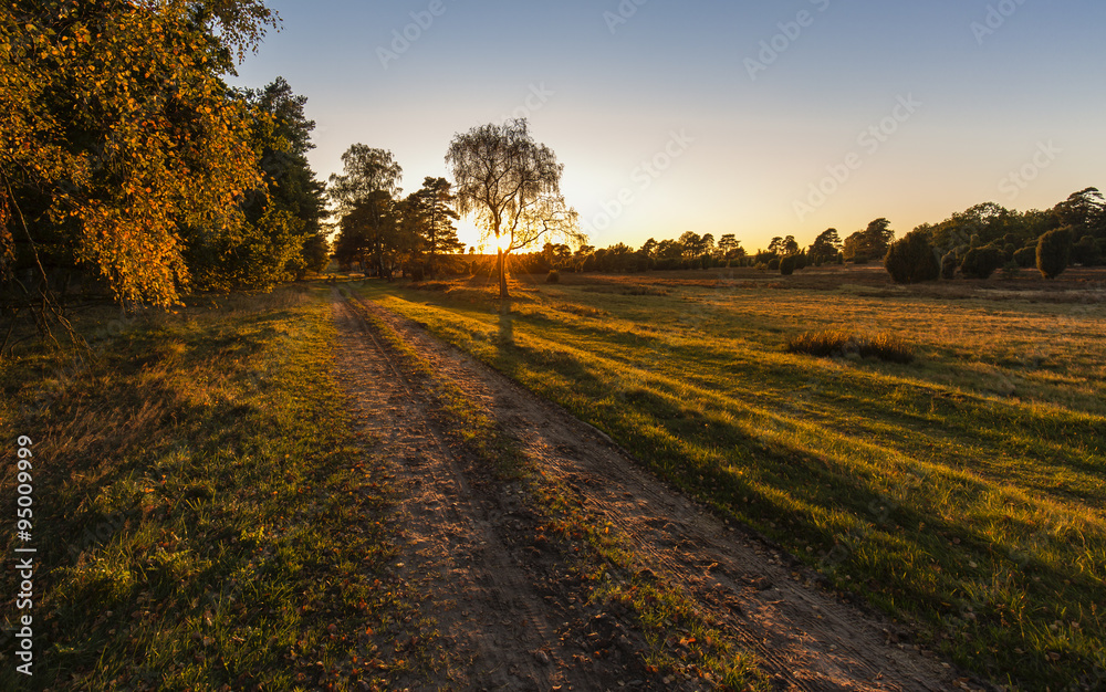 Abendstimmung in der Heide