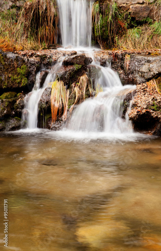 Beautiful waterfall in the forest © Gelpi