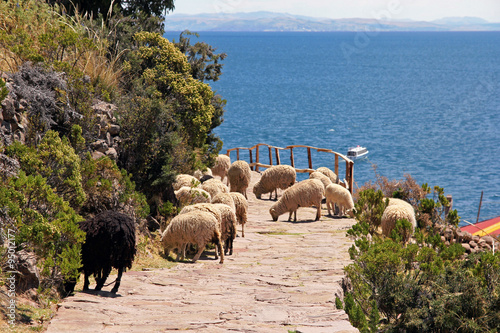 Lac Titicaca Taquile