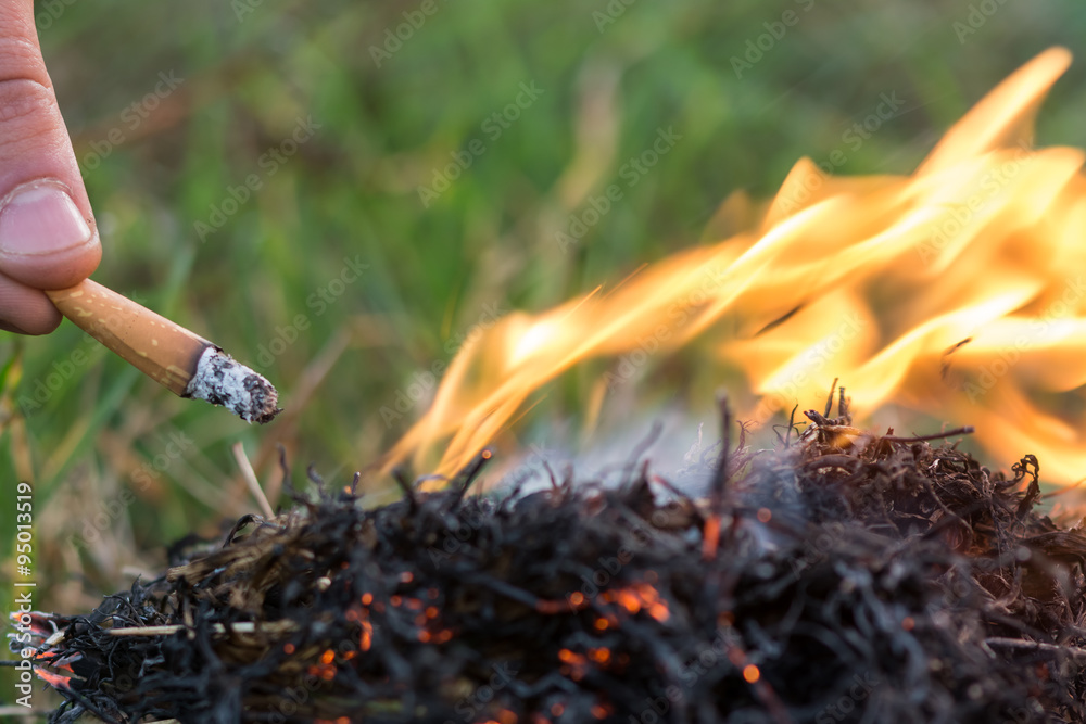 Cigarette causing a dangerous fire on the forest Cigarette causing a dangerous fire on the forest